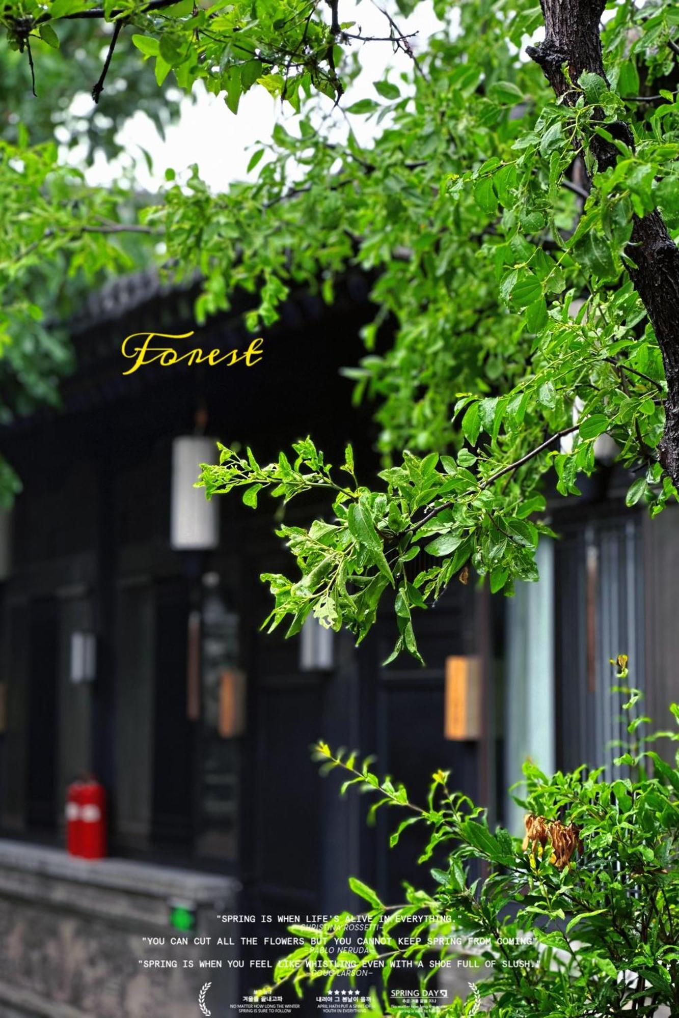Elsewhere Hotel Inn North Street Branch Pingyao Luaran gambar